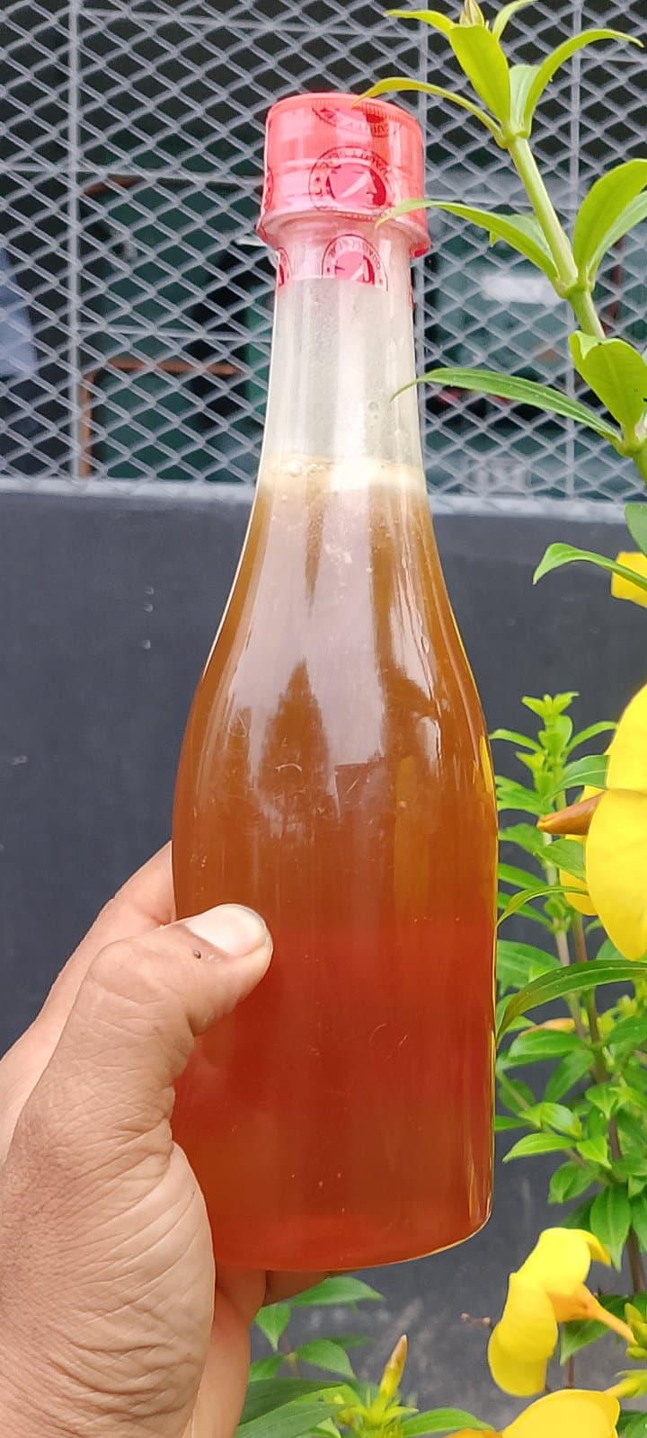 সুন্দরবনের মধু